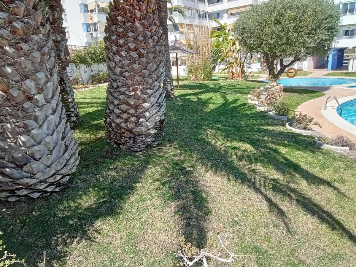 Apartamento La Nina, La Playa Paraiso A 100 Mts. Villajoyosa Exteriör bild